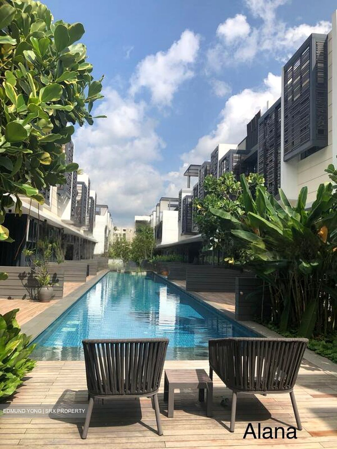 Alana (D28), Terrace #464355951